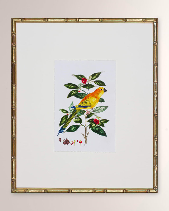 "Bird Habitat V" Framed Giclee